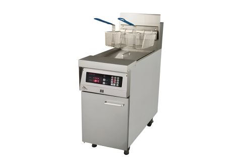 Bếp chiên nhúng Delitas đôi KF- 121 GM